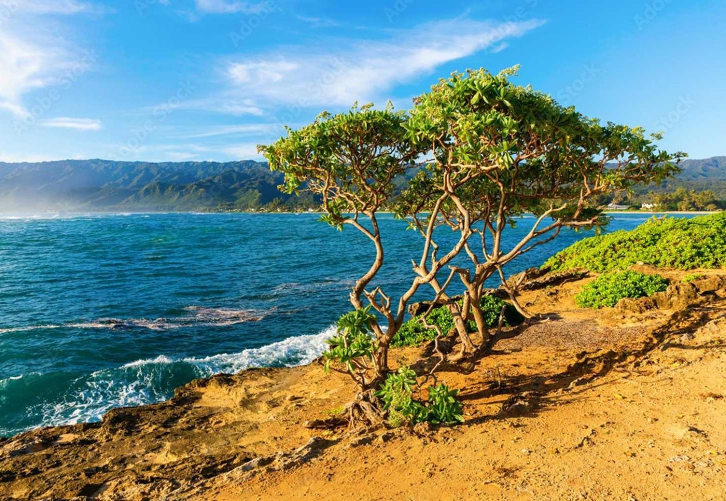 Naupaka Breeze Ocean View Ac 30 Day Stay Specials! 拉耶 外观 照片